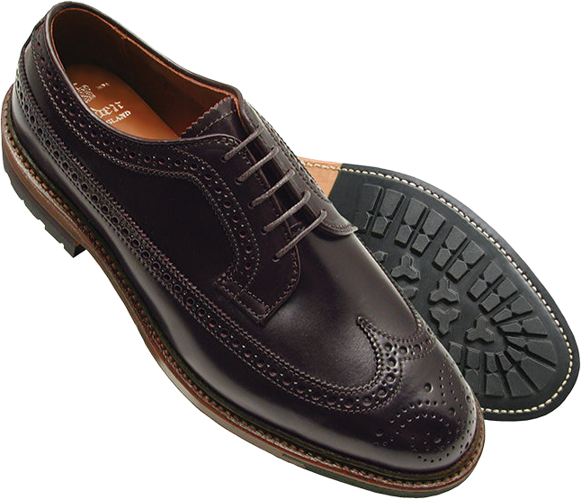 Alden D6519c Long Wing Blucher