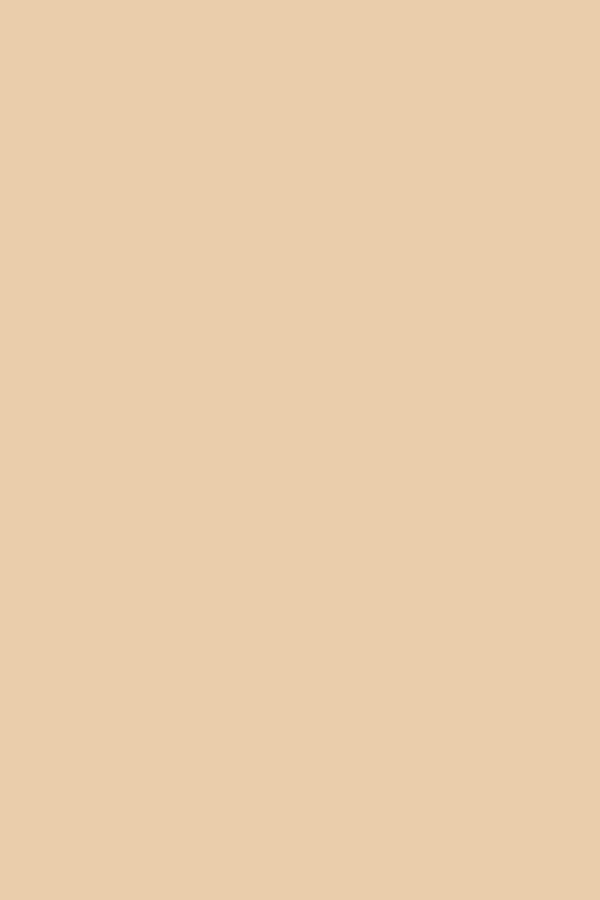 Champagne - 4mm round waxed shoelaces for boots and shoes made from 100% organic cotton - Senkels